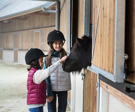 The Children's Farm