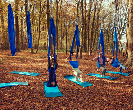 The Forest Show